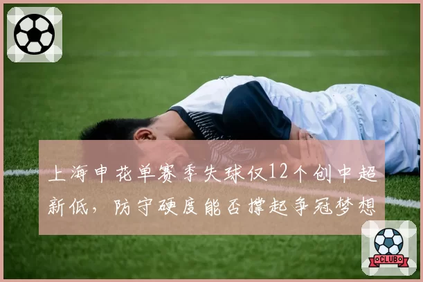 上海申花单赛季失球仅12个创中超新低,防守硬度能否撑起争冠梦想