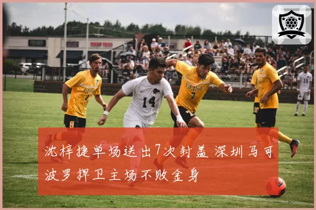 沈梓捷单场送出7次封盖 深圳马可波罗捍卫主场不败金身