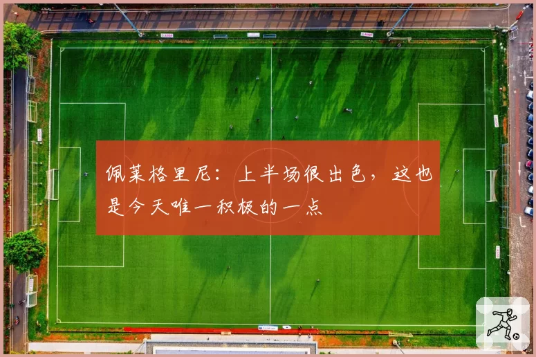 佩莱格里尼：上半场很出色，这也是今天唯一积极的一点