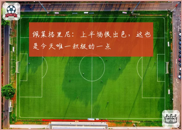 佩莱格里尼：上半场很出色，这也是今天唯一积极的一点