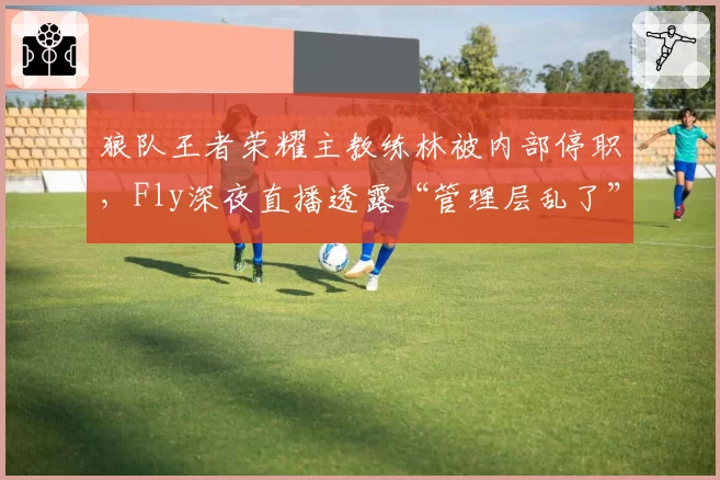 狼队王者荣耀主教练林被内部停职,Fly深夜直播透露“管理层乱了”?
