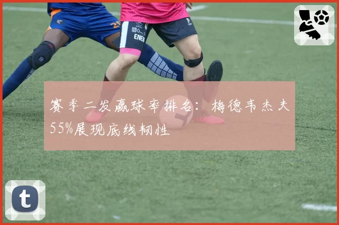 赛季二发赢球率排名：梅德韦杰夫55%展现底线韧性